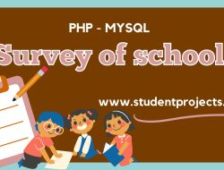 School Survey project