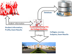 Database Design of College Social Networking