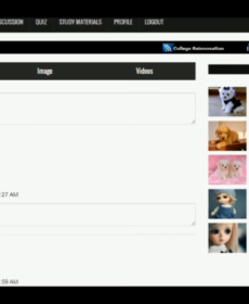 PHP MySQL Social Network for College
