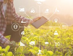Smart Agriculture