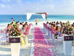 Guest Book Code in PHP