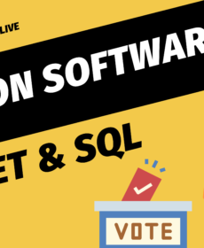 Election Software Mini Project – VB.NET & SQL SERVER