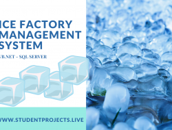 Ice Factory Management System