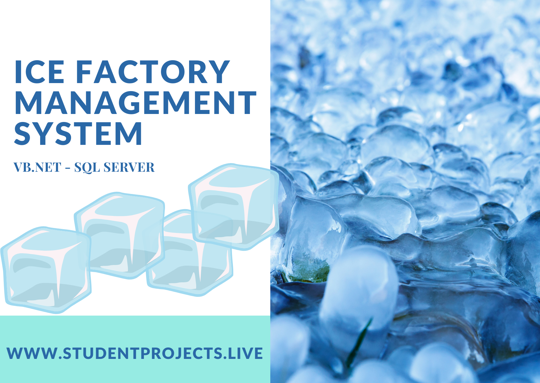 Ice Factory Management System Student Projects Live
