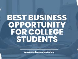 Best business opportunity for college students