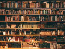 Library Management System Source Code