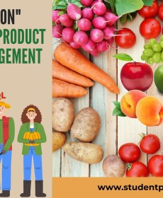 Online Auction of Agriculture Products PHP-MySQL